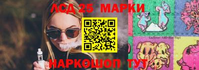 СК Новокубанск