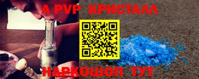 СК Новокубанск