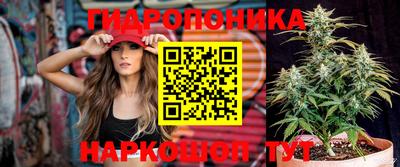 круглые Новодвинск